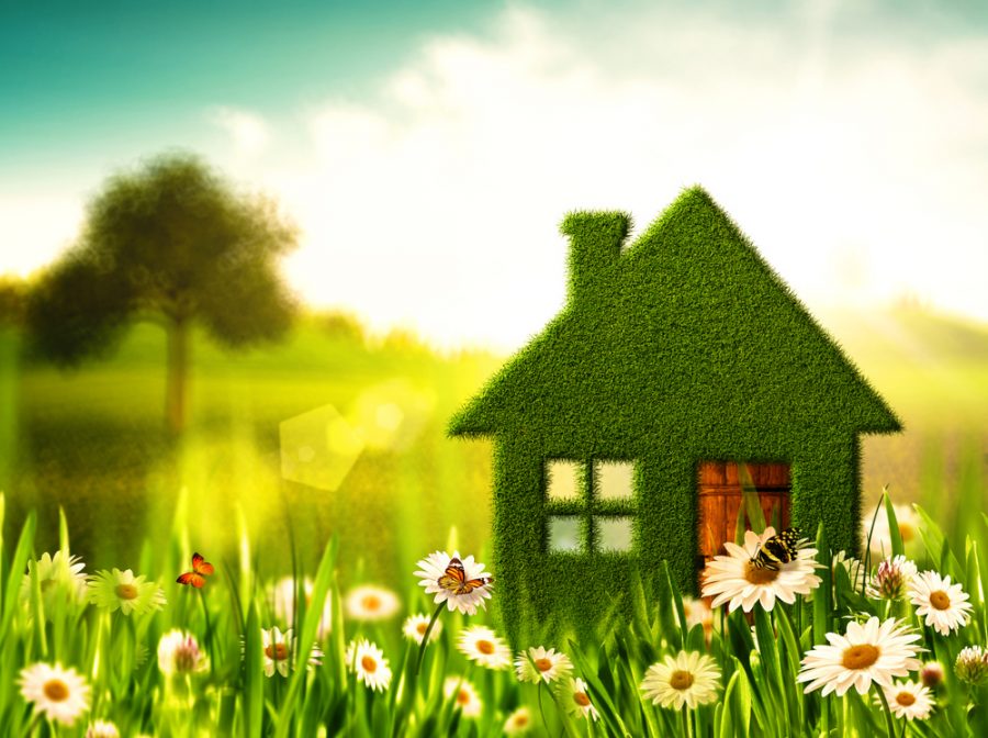 Green Home Vouchers